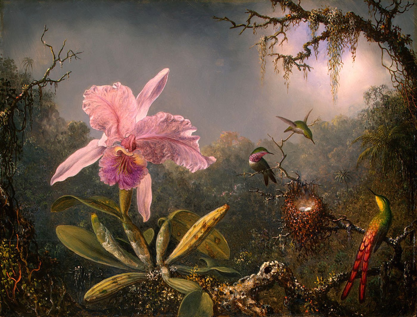 Martin Johnson Heade — Cattleya Orchid and Three Hummingbirds, 1871
