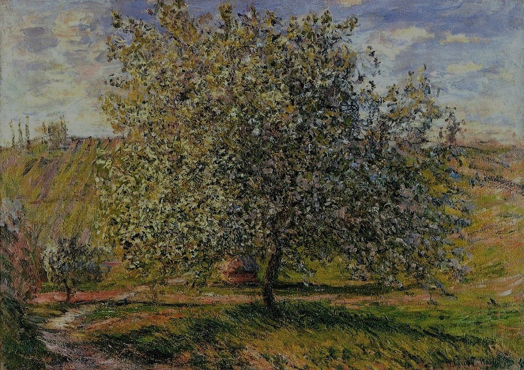 Claude Monet — Tree in Flower near Vétheuil, graded to evening, carrying binary leaves